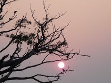 Sunset At Kerala Royalty Free Stock Image Sunset At Kerala Royalty Free Stock Image