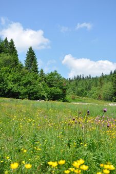 Carpathian Mountains Stock Images Carpathian Mountains Stock Images