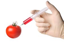 Hand With Syringe Make Injection To Tomato Stock Photography