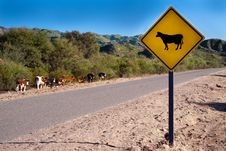 A Bright Yellow Cow Sign Stock Images