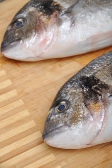 Fresh Fish Stock Images Fresh Fish Stock Images