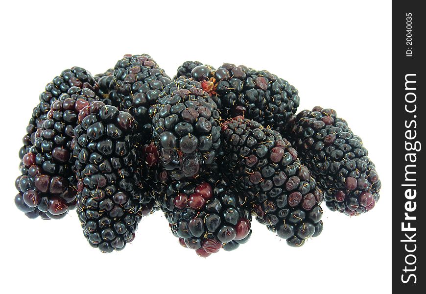 Blackberries on a white background