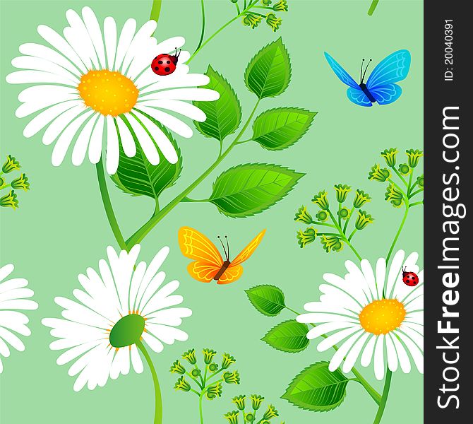 Vector illustration of Chamomile seamless background