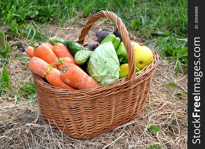 Carrots, cucumber, cabbage, pepper, apple lie in a basket on a grass. Carrots, cucumber, cabbage, pepper, apple lie in a basket on a grass