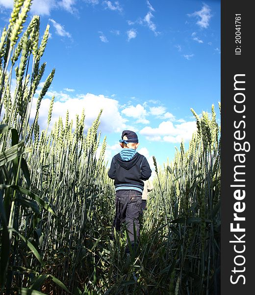 Boy walking throught cereal field. Boy walking throught cereal field