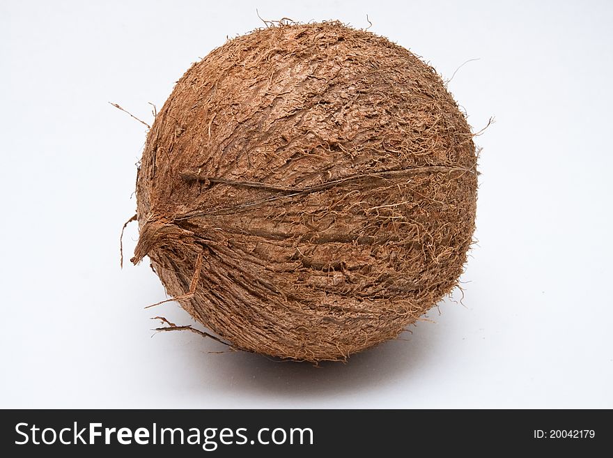 One Coconut Isolated On White Background