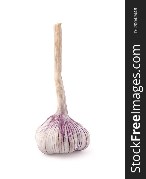 Garlic isolated on white with clipping path. Garlic isolated on white with clipping path