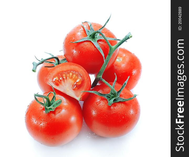 Branch of tomato isolated on white background