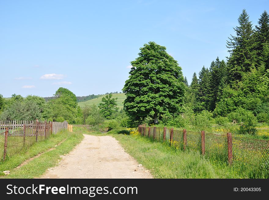 Road in Carpathian mountains, Ukraine