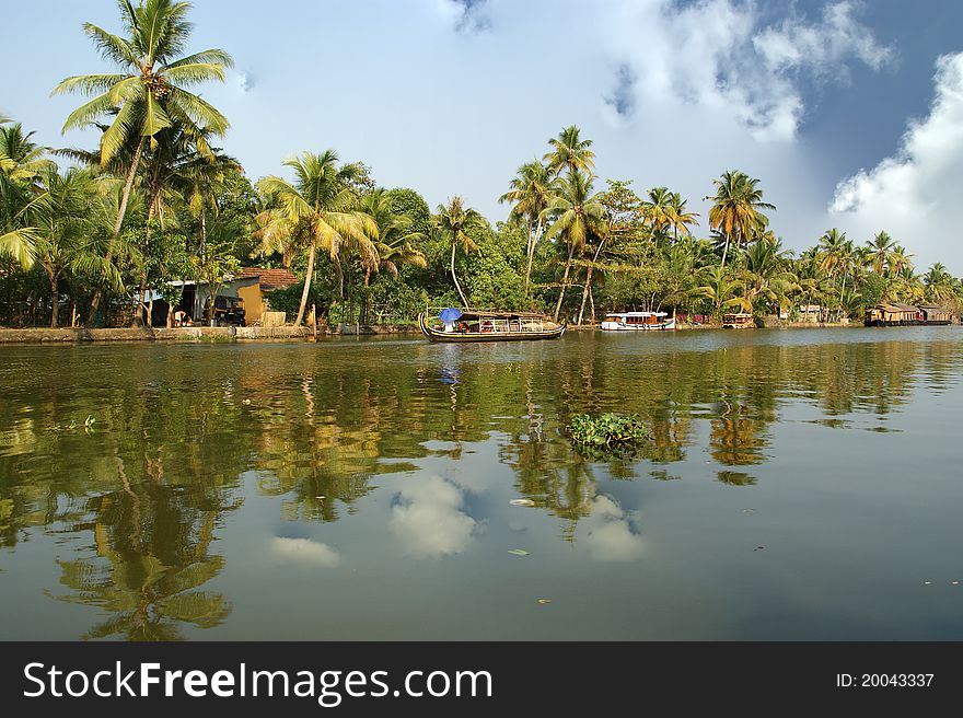 Coconut palms on the shore of the lake. Kerala, South India