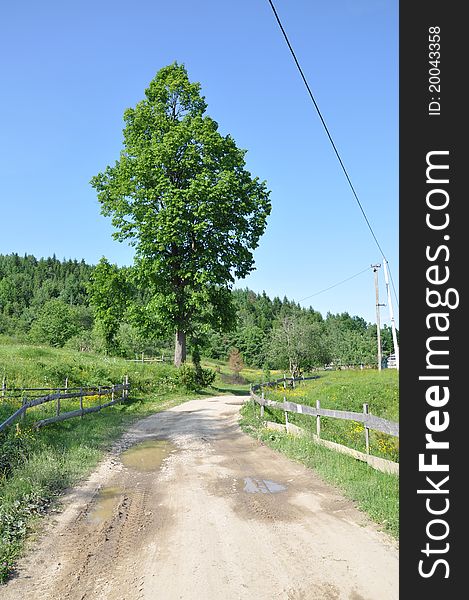 Road in Carpathian mountains, Ukraine