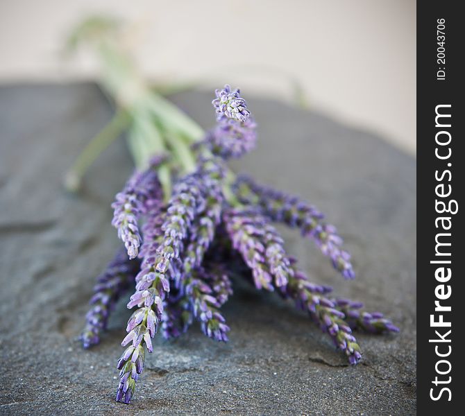 A close-up of a bunch of lavender with background blur. A close-up of a bunch of lavender with background blur