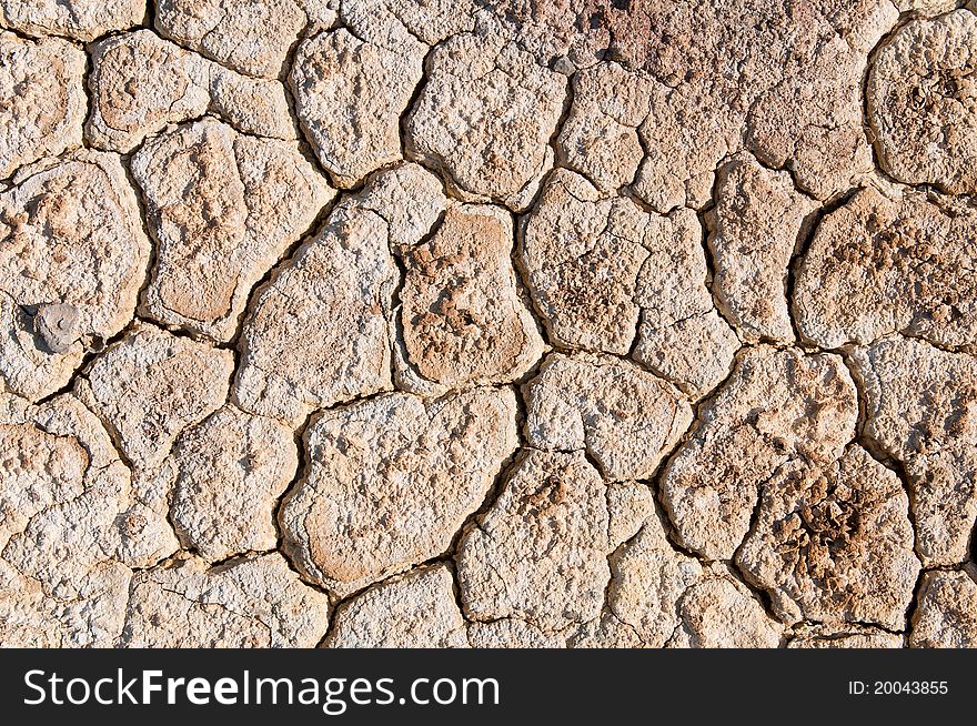 Dry Cracked Ground