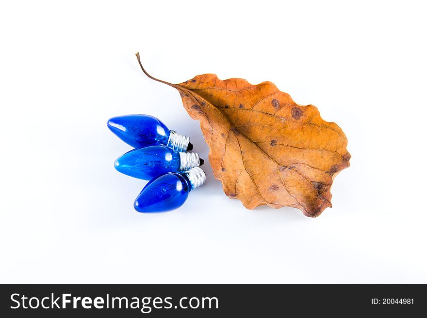 Three Light Bulbs And A Withered Leaf.