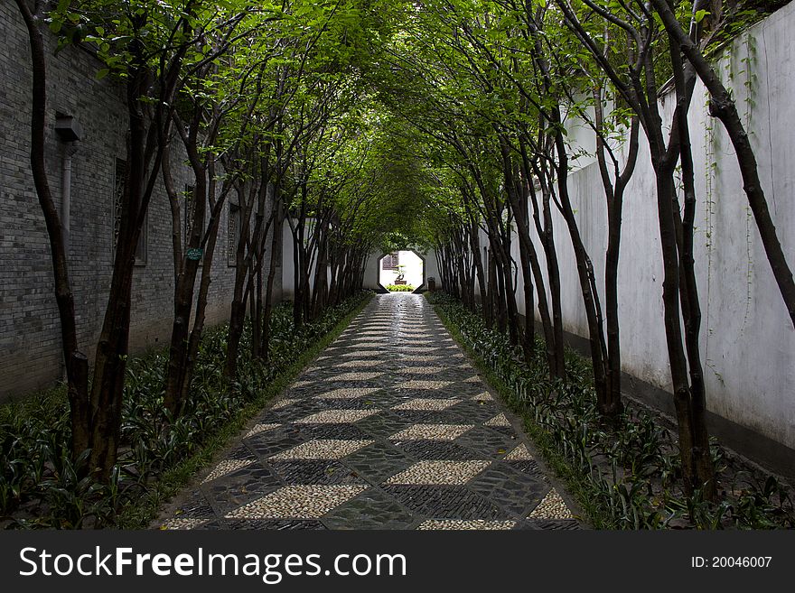 Picture taken in Ge Yuan,YangZhou. It is a typical privately owned garden. Picture shows the tree alley of the garden to the house. Picture taken in Ge Yuan,YangZhou. It is a typical privately owned garden. Picture shows the tree alley of the garden to the house.