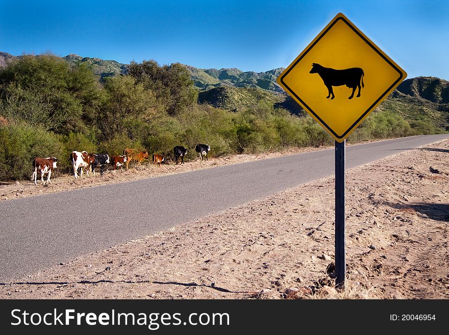 A bright yellow cow sign along a country road