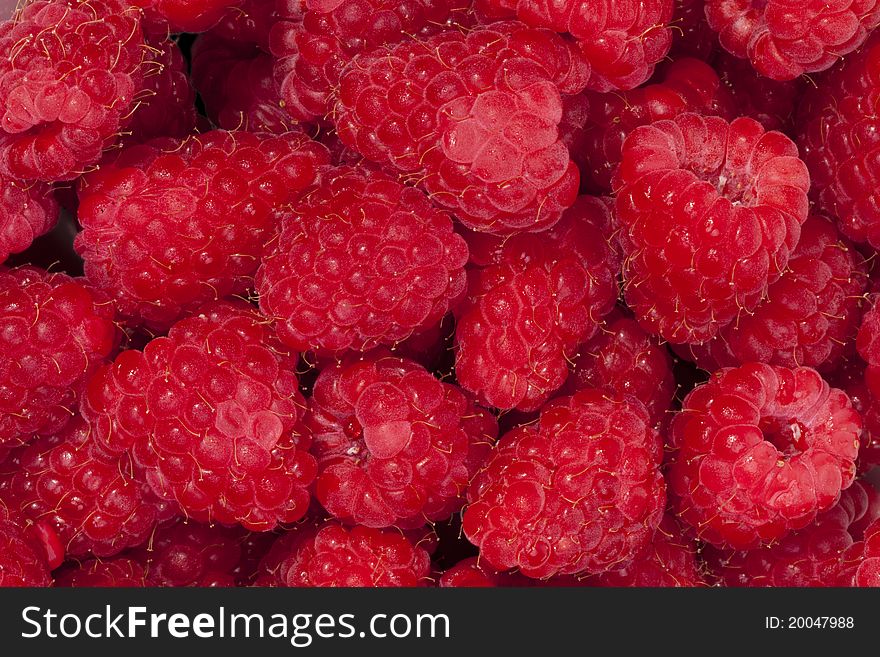 Red raspberry pile, high resolution macro. Red raspberry pile, high resolution macro