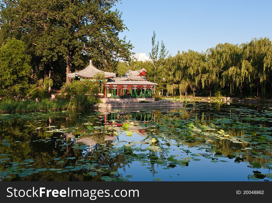 Chinese garden in Beijing, China