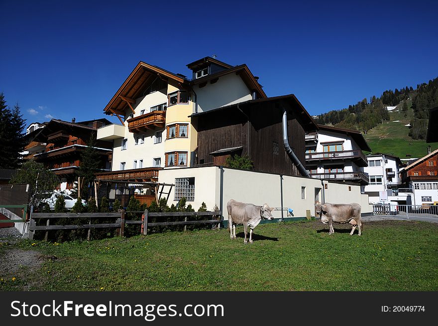 A mountain farm in  Tyrol