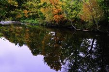 Fall Colors Reflected In A Creek Stock Photography Fall Colors Reflected In A Creek Stock Photography