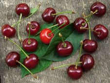Cherry Fruits Stock Photography Cherry Fruits Stock Photography