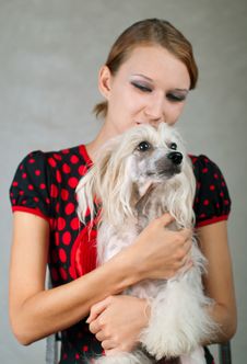 Girl And Chinese Crested Dog Stock Photo