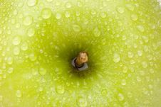 A Granny Smith Apple Royalty Free Stock Images