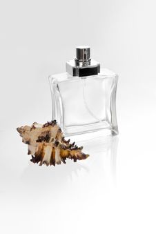 Perfume Bottle And Seashell Stock Photography