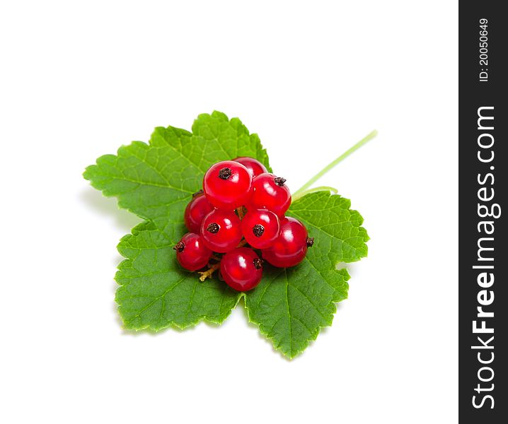 Bunch of red currant lies on a green leaf