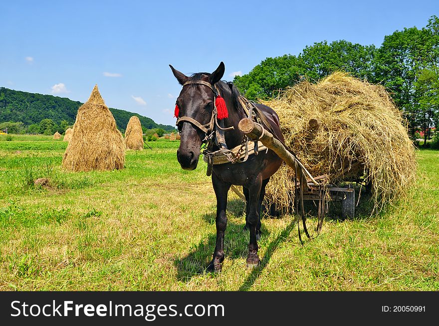 Hay preparation in a rural landscape with a horse.