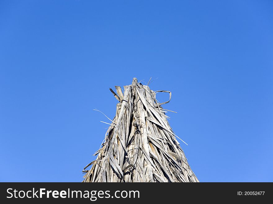 Roof of thatch in the beach