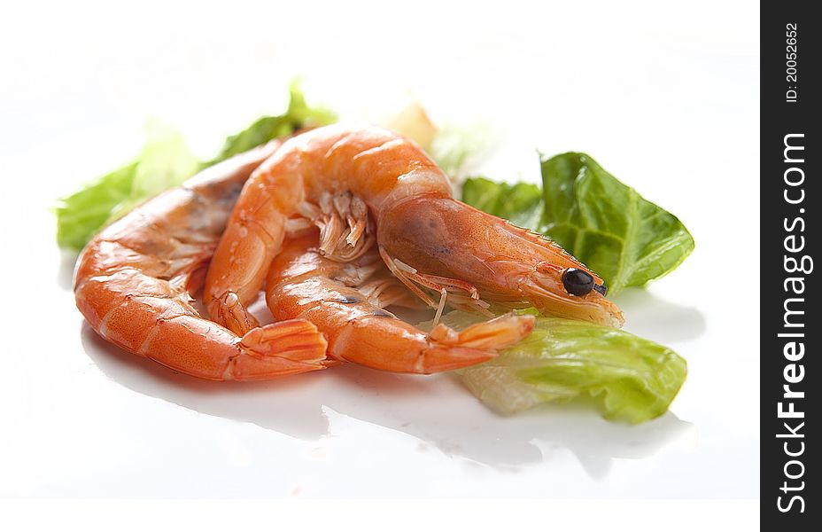 Some hotwater shrimps with green fresh lettuce