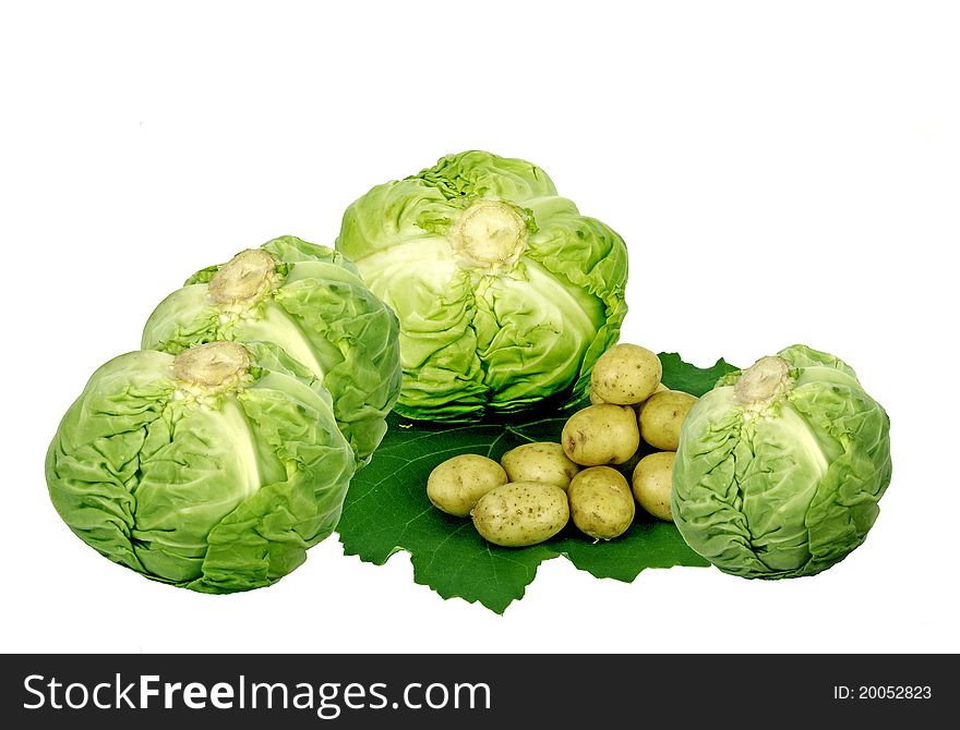 Four heads of cabbage and small group of a young potato. Four heads of cabbage and small group of a young potato.