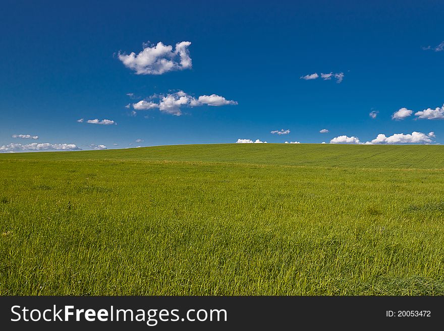 Meadows on a background of blue sky with clouds. Meadows on a background of blue sky with clouds
