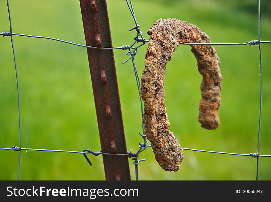 A rusty horseshoe at a fence.