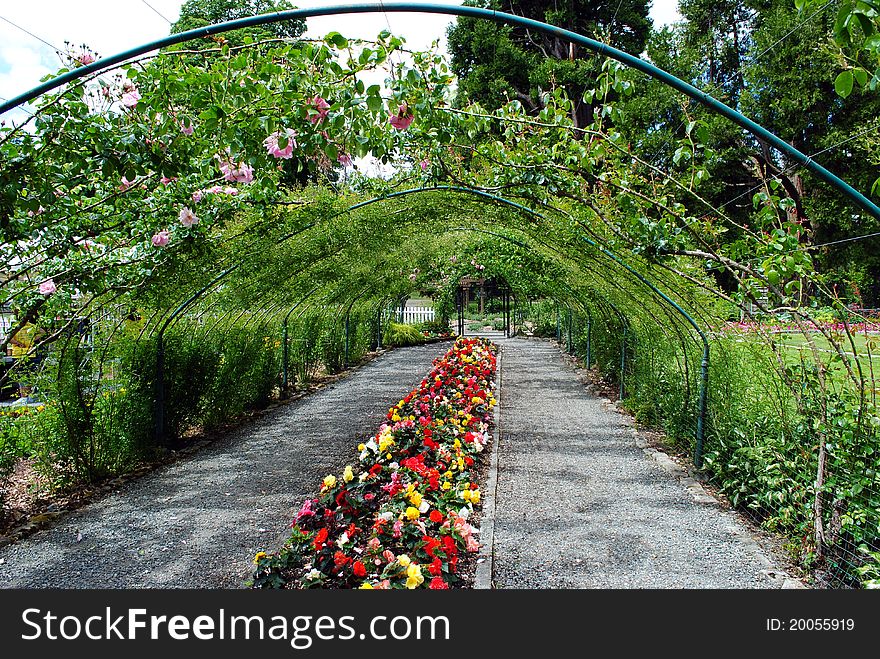 A rose arbor in a city park
