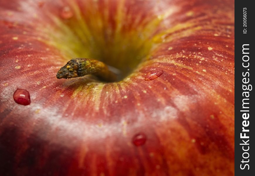 Apple macro shot with narrow depth of field. Apple macro shot with narrow depth of field.