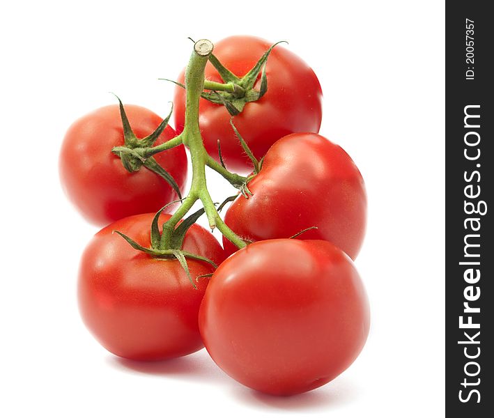 Tomatoes on a white background