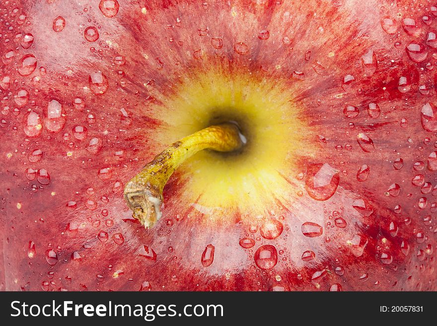 A fresh red delicious apple close up. A fresh red delicious apple close up