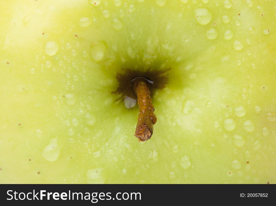 A fresh golden delicious apple close up. A fresh golden delicious apple close up