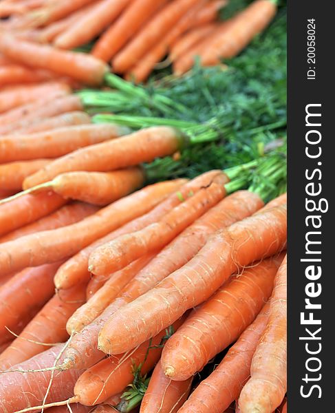 Fresh Carrots At The Local Market