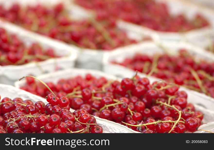 Fresh Red Currant At The Local Market