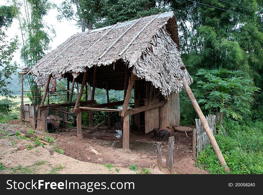 Thai field house