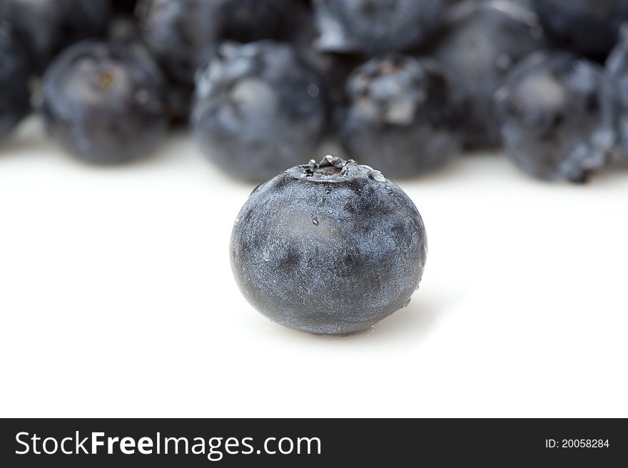Fresh blueberries against a white background