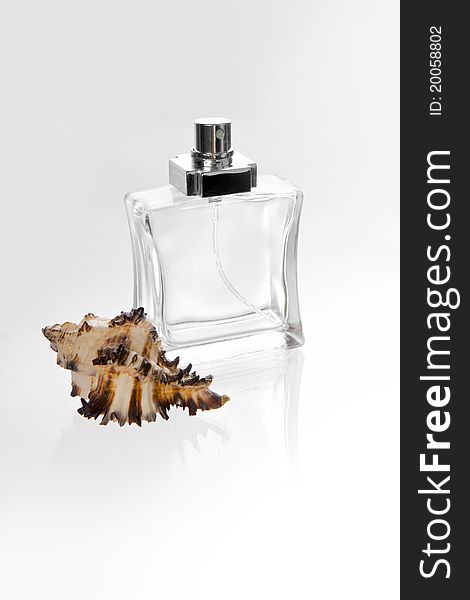 Perfume bottle and seashell