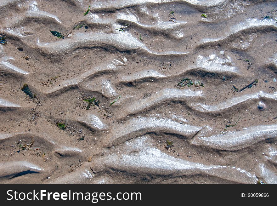 Ripples form a wave design in the sand at ebb tide. Ripples form a wave design in the sand at ebb tide