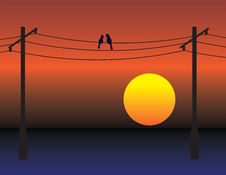 Birds On Wires Over Sunset Sky Royalty Free Stock Image Birds On Wires Over Sunset Sky Royalty Free Stock Image