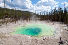 Emerald Spring In The Norris Geyser Basin Royalty Free Stock Photography
