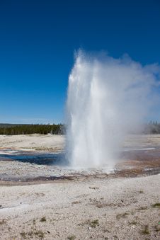 Geyser In Old Faithful Area Of Yellowstone Stock Photography Geyser In Old Faithful Area Of Yellowstone Stock Photography