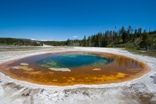 Hot Geyser Pool In Yellowstone, WY Royalty Free Stock Photos Hot Geyser Pool In Yellowstone, WY Royalty Free Stock Photos